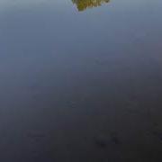 Даю Рыбкам В Озере Попить Воды