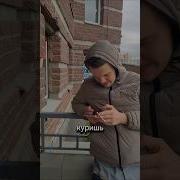 Повод Мне Не Нужен Повод