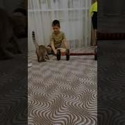 Идеальная Система Навигации