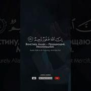 Шериф Мустафа Аль Бакара