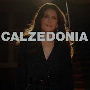 Reklama Calzedonia