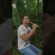 Флейта Минус Черный Ворон