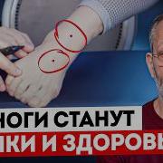 2 Точка 0 Учёный В Туалет Фате