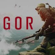 Vigor Ost