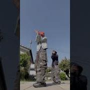 Shake It Tiktok Challenge