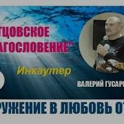 Валерий Гусаревич Свидетельство