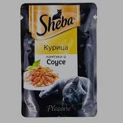 Реклама Про Шебу
