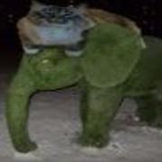 Кот На Слоне Из Мха