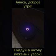 Алиса Доброе Утро