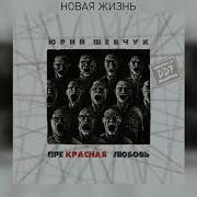 Новая Жизнь Шевчук