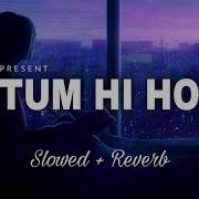 Tum Hi Ho Lofi Cover