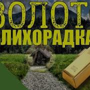Аудиокнига Золото Тайги