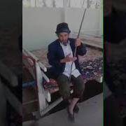 Булбули Хушхон