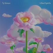 Lifted Spirits New Ty Simon