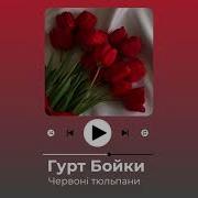 Червоні Тюльпани В Саду Я Зривав