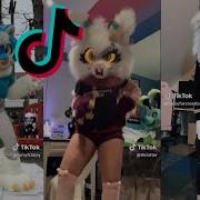 Tik Tok Furry