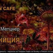 Фантастические Рассказы Про Другие Планеты
