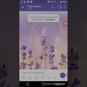 Переписка С Леди Дианой В Viber