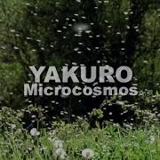 Yakuro Microcosmos