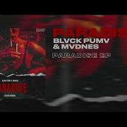 Paradise Blvck Pumv