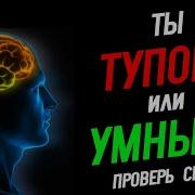 Тесты Тупой Или Умный