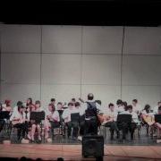 I Do Evhs Guitar Concert