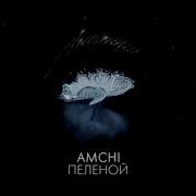 Amchi Пеленой