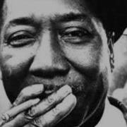 Muddy Waters Missisipi Delta Blues