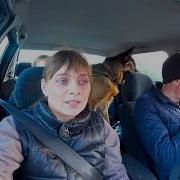 Сегодня День Загадочный Сегодня Новый Год