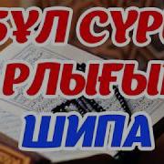 Сура Фатиха 41 Раз Повтарение Падписаться