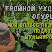 Каждый День Так