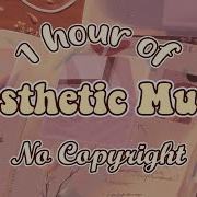 1 Hour Aesthetic Music