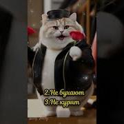 Поздравление Коллектива