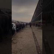 От Бозори Нархлари 2022