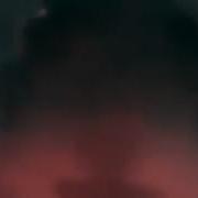Хомяк Звонит По Скайпу