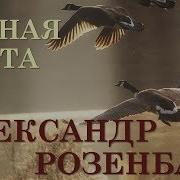 Утиная Песня