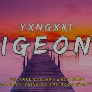 Pigeons Yxngxr1 Lyrics