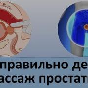 Массаж Простаты Видео