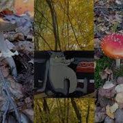 А Я По Городу Шагаю Весёлый Нарядный