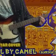 Camel By Camel Bass