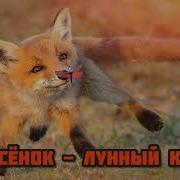 Луный Кот Маска 4 Сезон