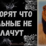Говорят Что Сильные Не Плачут Песня