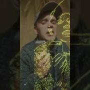 Без Тебя Проходят Ночи Без Тебя Проходят Дни