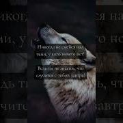 Никогда Не Смейся Над Теми У Кого Ничего Нет Ведь Ты Не Знаешь Что Случится С Тобой Завтра
