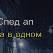 Ню Паришь Спид Ап
