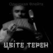 Одинокая Флейта Цвiте Терен Най