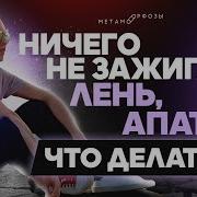 Метамарфоза Петр Осипов