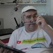 Неполживые Новости Канала Лохпожизни 19 Марта 2025 Гойда