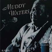 Muddy Waters Full Album