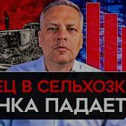 Майкл Наки Последнее